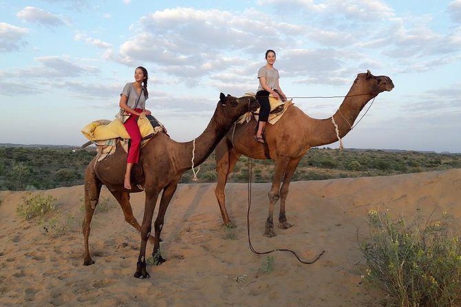 Authentic Camel Safari Experience With Us - Good To Know