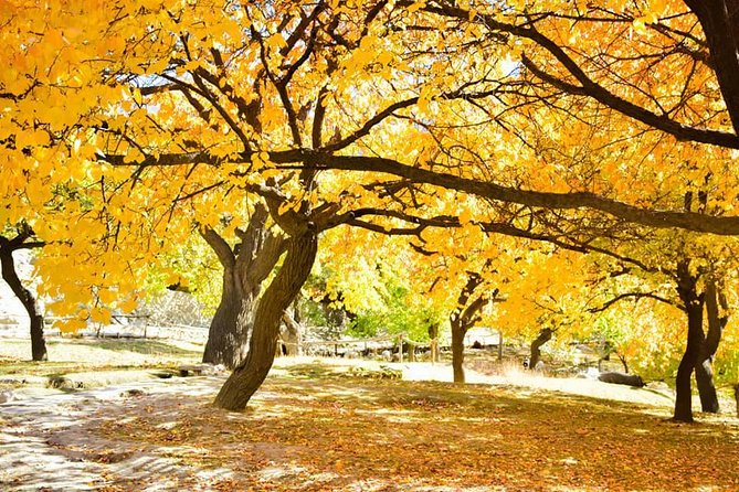 Autumn Trip to Hunza Valley & Skardu- Pakistan - (12D 11N) - Good To Know