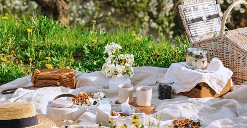 Avignon: Gourmet Picnic With a View of the Pont D'avignon - Pricing and Reservation