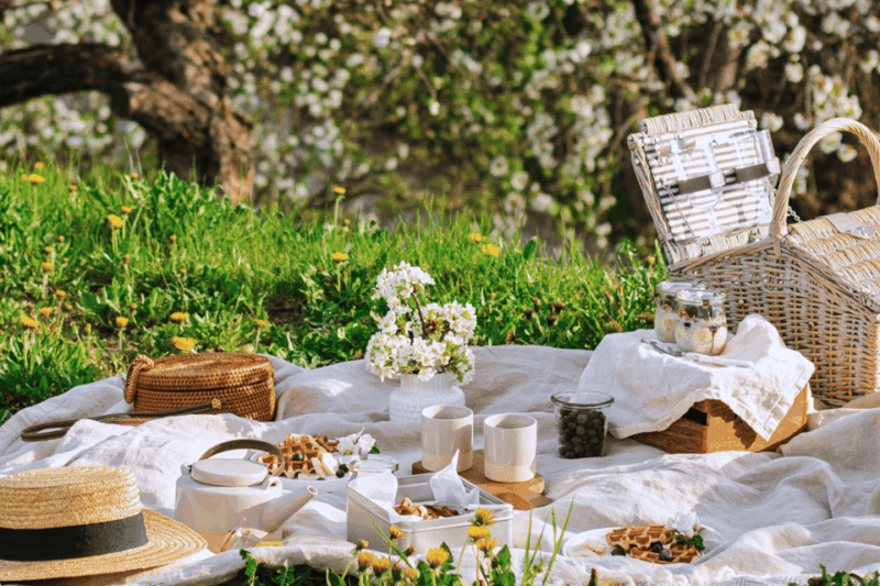 Avignon: Gourmet Picnic With a View of the Pont D'avignon - Key Points