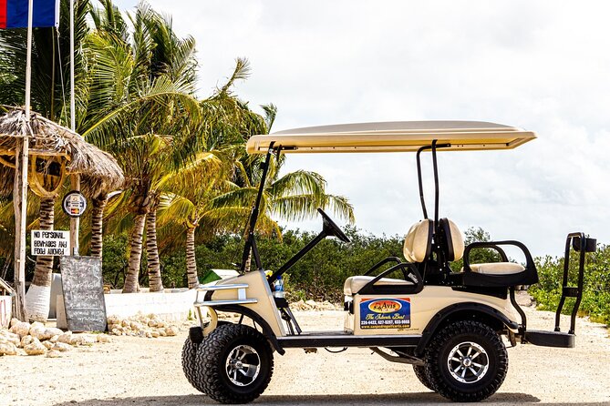 Avis Golf Cart Rental LTD Island Explore - Company Overview