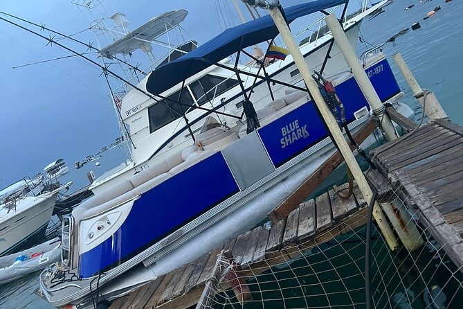 Bahia Tour, Visit to the Aquarium, Bathing Stops in San Andres. - Tour Overview