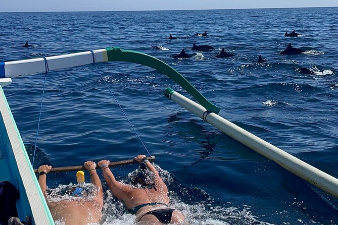 Bali : Dolphin Sunrise Experience Tour Private All Inclusive - Good To Know