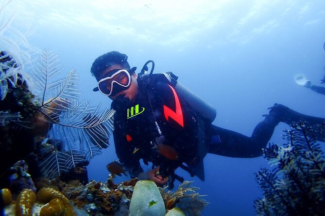 Bali Full Day Experience Scuba Diving Tour at Tulamben - Good To Know