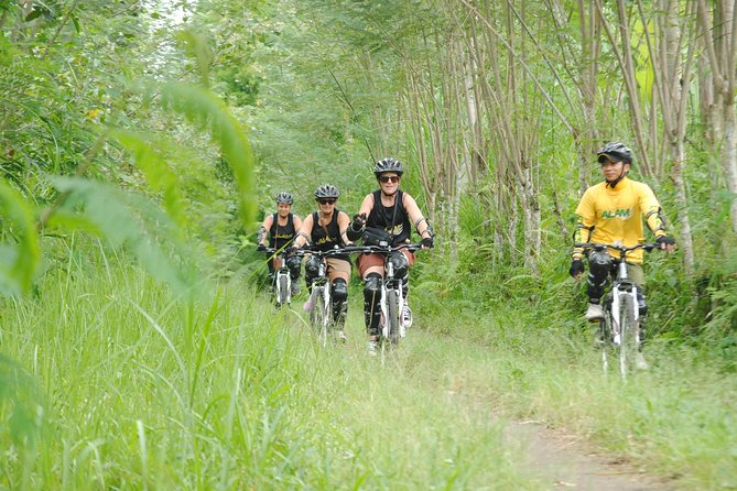 Bali Mountains and Villages Cycling Tour