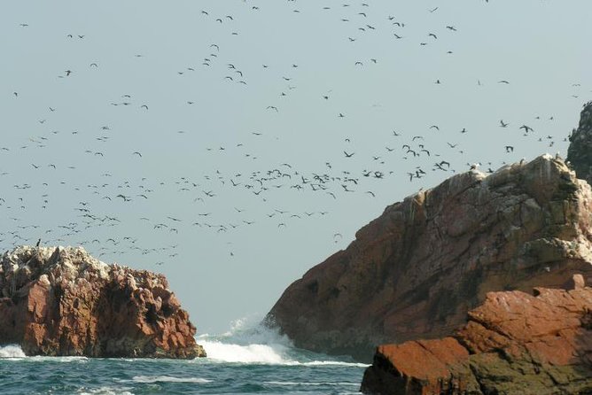 Ballestas Islands Sightseeing Boat Ride From Paracas - Overview of the Tour