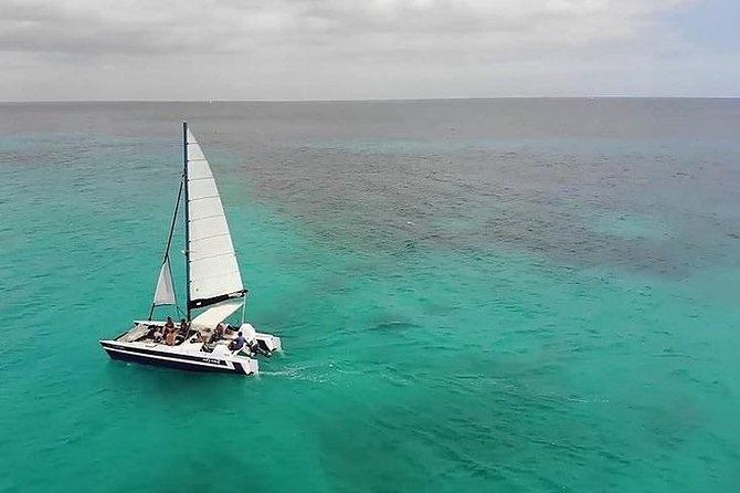 Barbados Catamaran Snorkel Cruise With Open Bar - Included Activities and Amenities