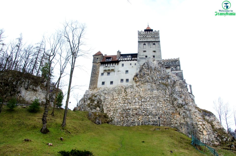 Bear Sanctuary & Bran Castle & Airport OTP From Brasov - Good To Know