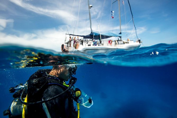 Beginner Diving Experience in Ligaria Bay - Good To Know