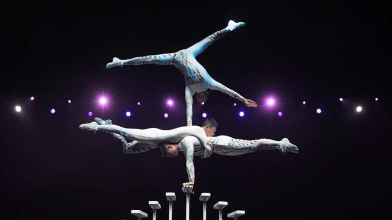 Beijing: Red Theatre Acrobatics Show Viewing Chinese Culture