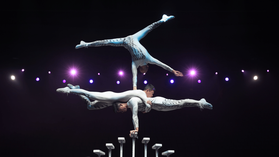 Beijing: Red Theatre Acrobatics Show Viewing Chinese Culture - Activity Overview