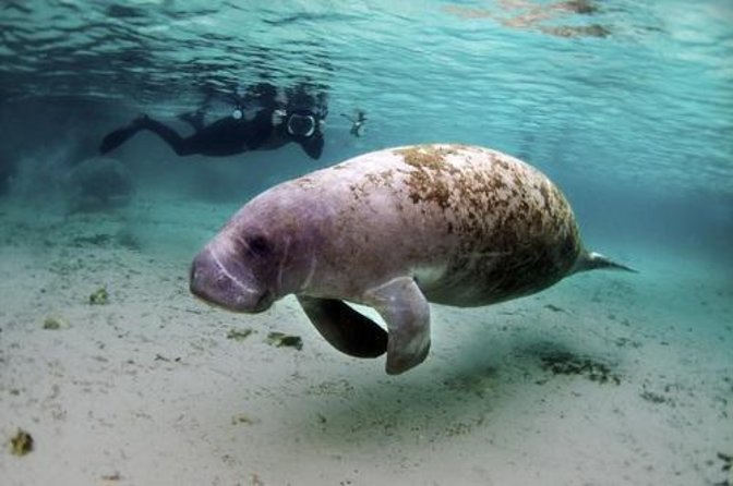 Belize: See & Experience It ALL in 10 Days, 1st Class Custom Tours - Good To Know