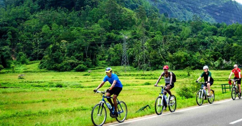 Bentota: Guided Cycling Tour With Refreshments - Good To Know