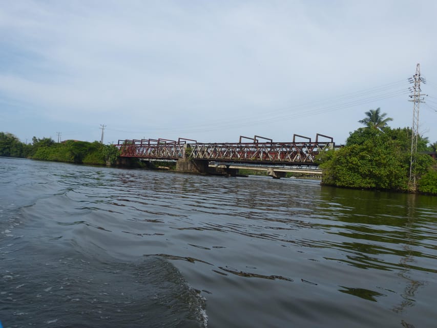 Bentota: Mangrove Lagoon and River Cruise - Good To Know