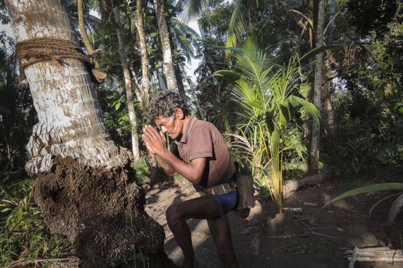 Bentota: Toddy Hunting Cycling Tour in the Countryside - Good To Know