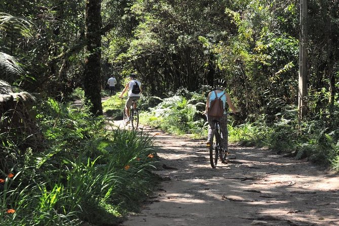 Bicycle Rental in Horto Florestal - Campos Do Jordão - Good To Know