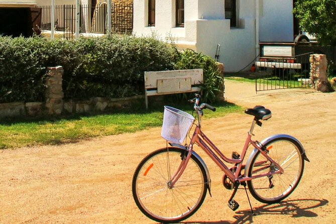 Bike Tour in Colonia Del Sacramento - Uruguay - Good To Know