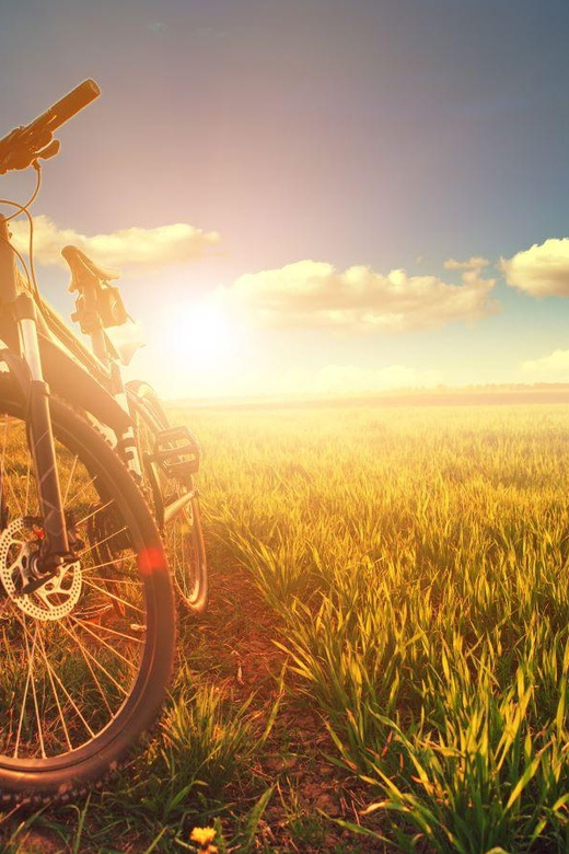 Bike & Wine in Budapest Region - Guided Gastro Tour - Good To Know