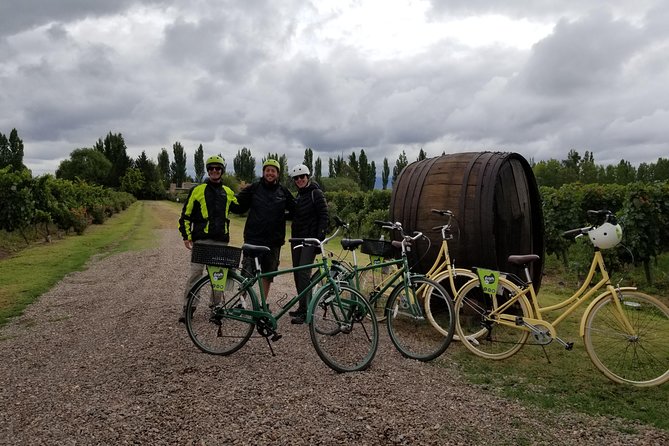 Bike, Wines & Lunch at Luján De Cuyo (Mendoza) - Tour Overview