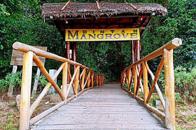 Bintan Mangrove Discovery Tour - Good To Know