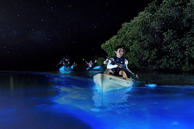 Bioluminescence Clear Kayak or Paddleboard Tour Near Orlando - Good To Know