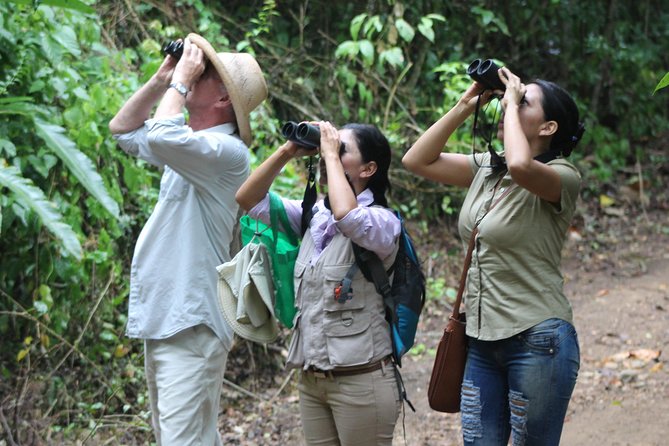 Bird Watching Tours With Sandra Plúa - Manabi, Ecuador - Good To Know