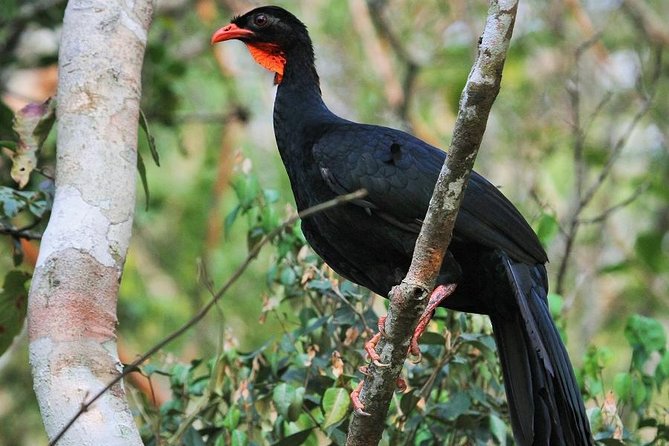 Birdwatching Day to Los Tarrales Nature Reserve (Private Tour) - About Your Stay