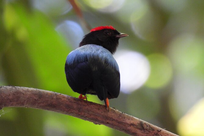 Birdwatching in a Private Nature Reserve - Good To Know