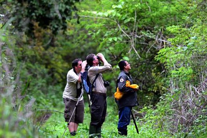 Birdwatching in Cerro Blanco From Guayaquil - Good To Know