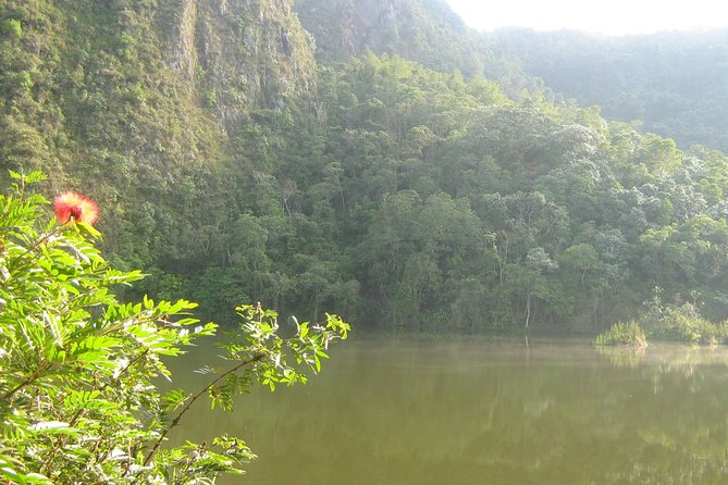 Birdwatching & Nature Day. Florida Wetland, El Tabacal Lagoon & Enchanted Garden - Overview of the Tour