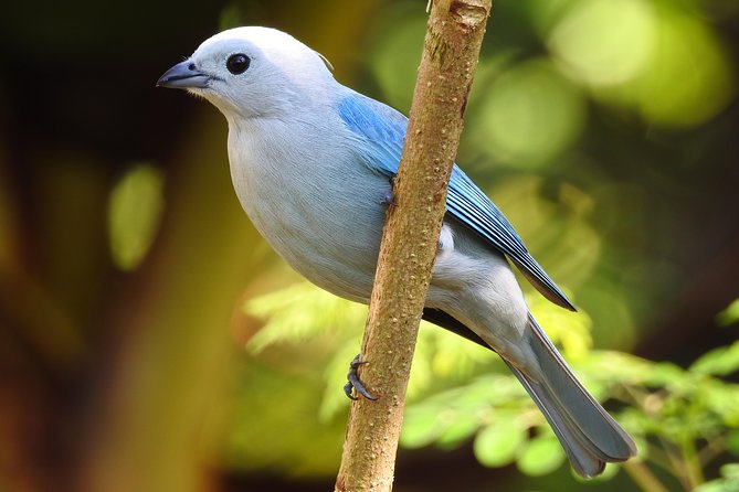 Birdwatching Tour - Good To Know