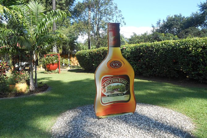 Black River Safari, YS Falls and Appleton Rum Tour With Lunch - Tour Overview
