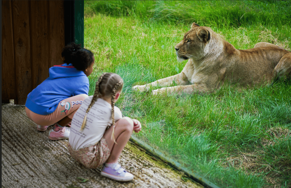 Blackpool: Zoo Admission Ticket - Customer Reviews and Ratings