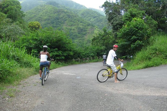 Blue Mountain Bicycle Tour From Kingston - Good To Know