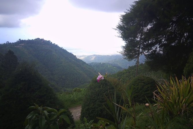 Blue Mountains, Port Royal and Kingston 2-Day Tour From Runaway Bay - Tour Highlights