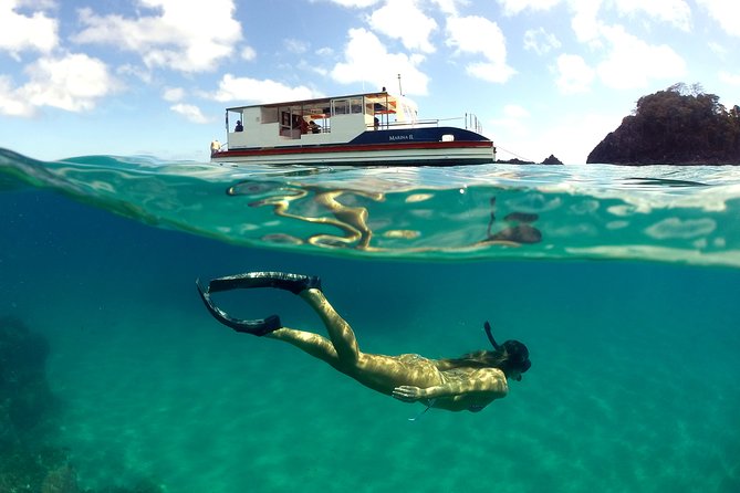 Boat Trip in Fernando De Noronha - Overview of the Boat Trip