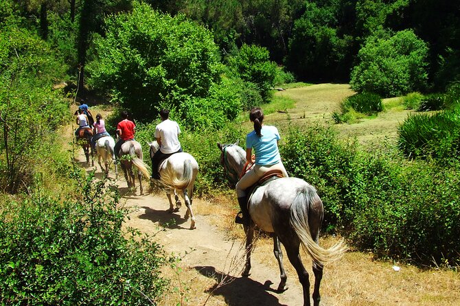 Bodrum Horse Riding Experience W/ Hotel Transfer Service - What to Expect