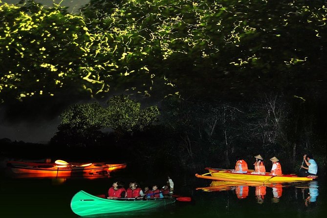 Bohol Firefly Watching (Private) - Good To Know