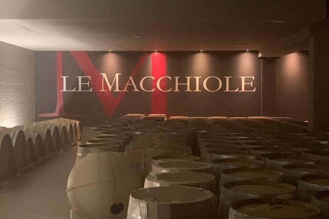 Bolgheri Wine Tour From Lucca - Good To Know