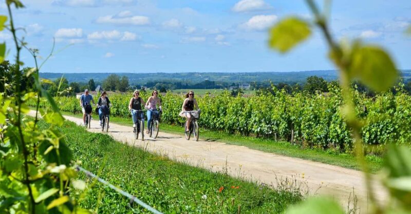 Bordeaux Backcountry E-Bike Tour With Lunch & Wine Tasting - Key Points