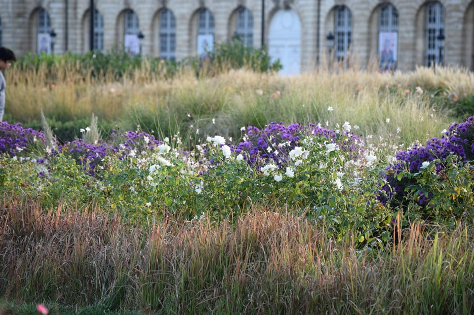 Bordeaux: See the Whole City by Bike - Key Points