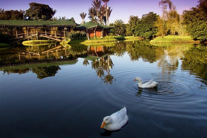 Botanical Garden Bogotá Private Tour (4 Hrs.) - Good To Know