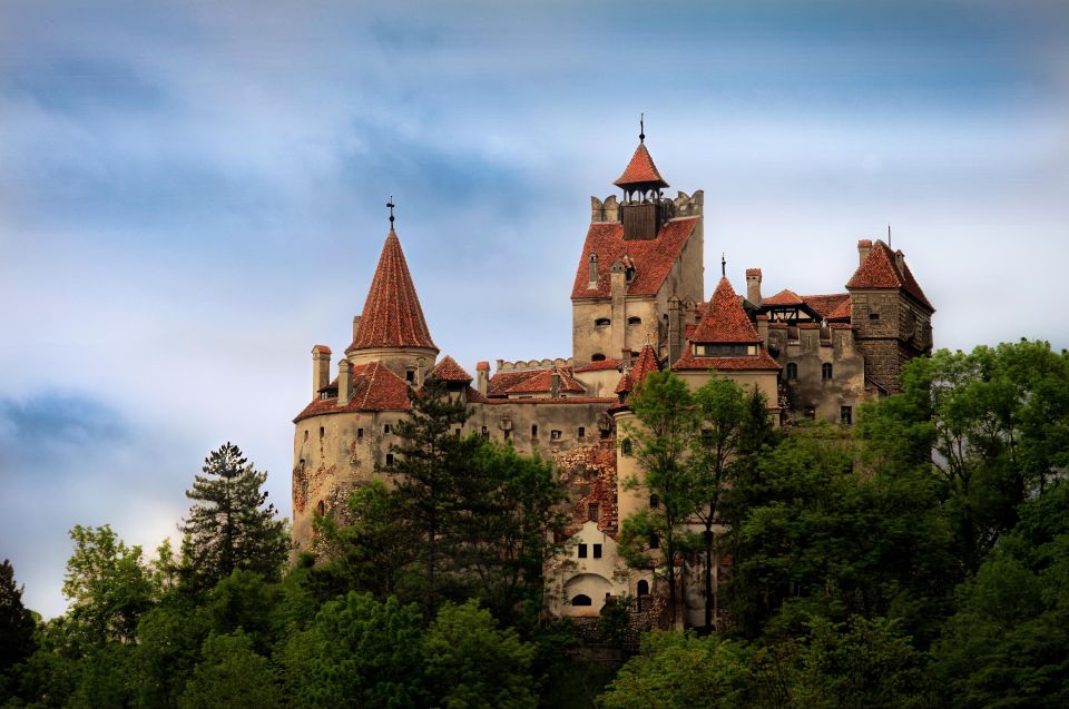 Brașov: Bear Sanctuary, Dracula Castle, and Râșnov Fortress - Good To Know