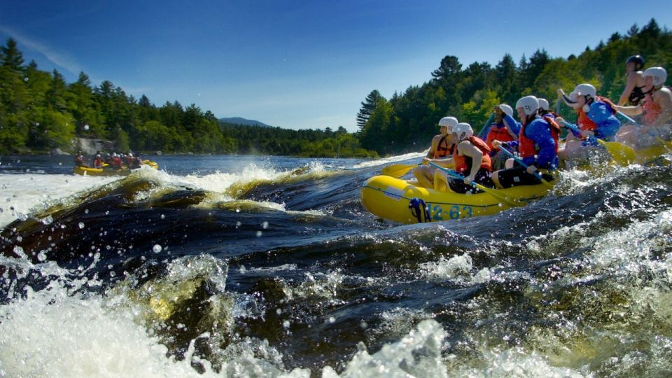 Brasov: Wild Water Rafting Day Trip - Good To Know