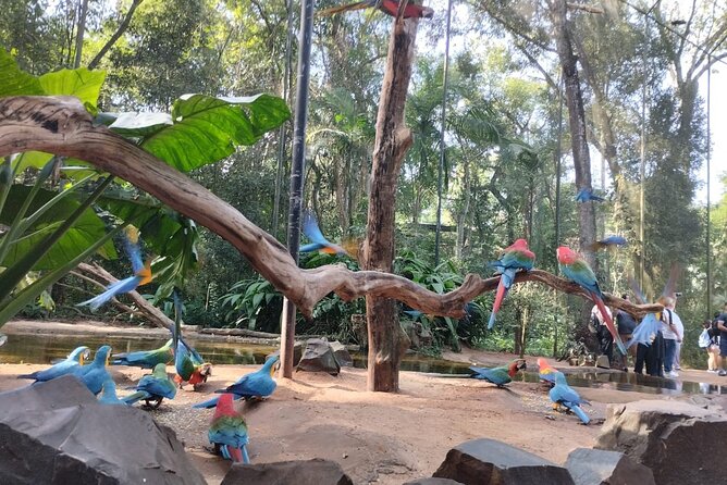 Brazilian Falls, Bird Park and Itaipu, Hotels in Brazil