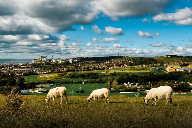 Brighton: Small-Group Scenic Hike & Countryside Yoga Class - Good To Know