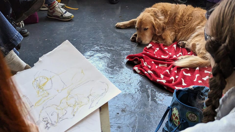 Bristol: Dog Life Drawing Led by Local Artist Cai Burton - Good To Know