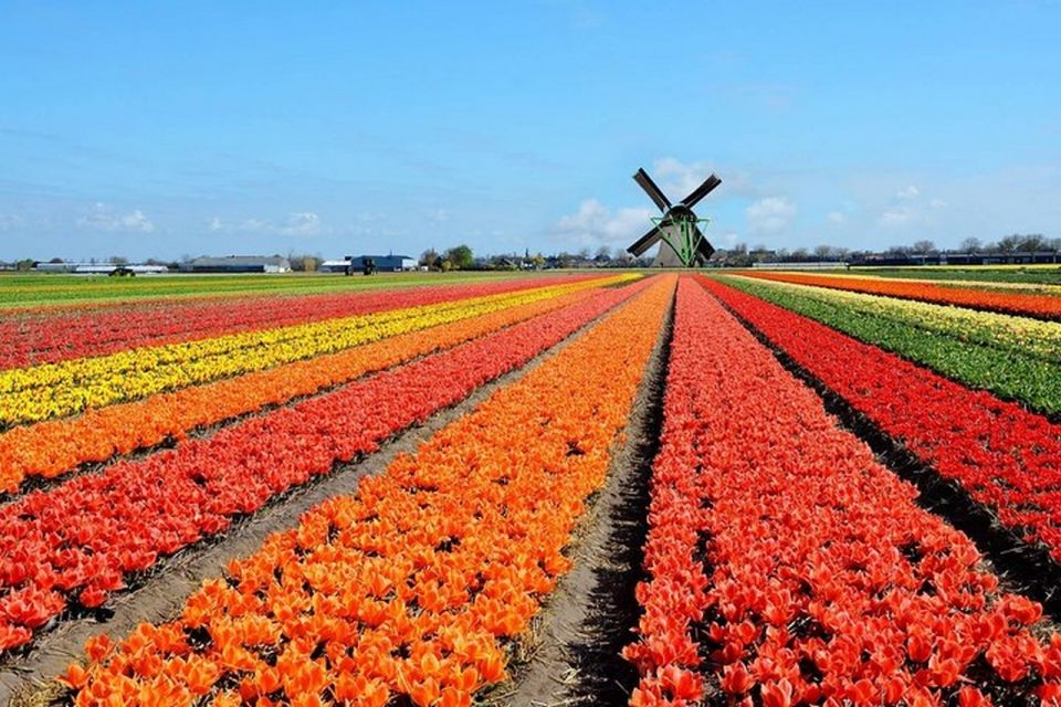 Brussels: Keukenhof, Tulips, and Delft Day Trip - Good To Know