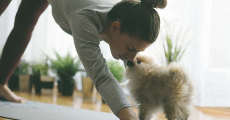 Budapest: Puppy Yoga Class