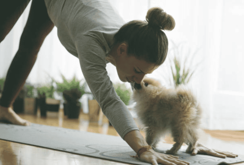 Budapest: Puppy Yoga Class - Good To Know